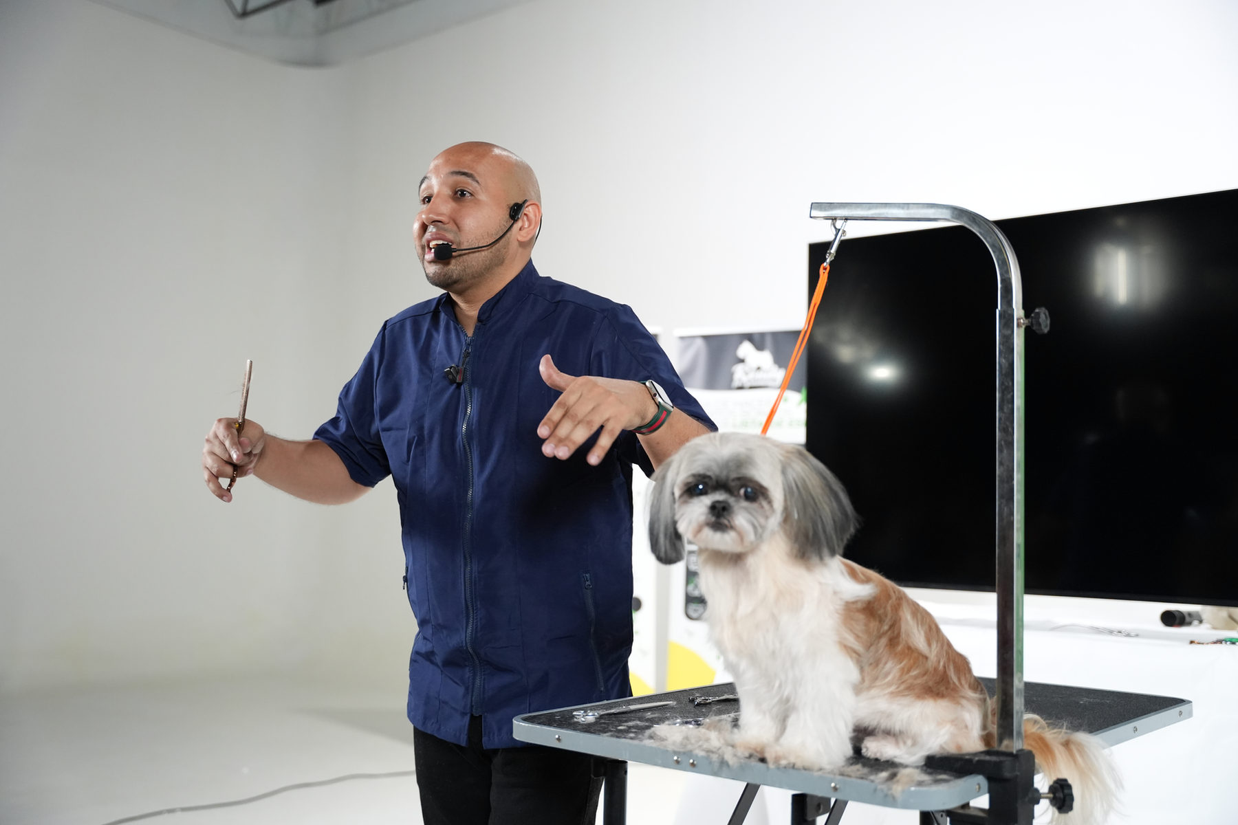 Asdrúbal Castillo explicando un corte con un Shih Tzu en la mesa